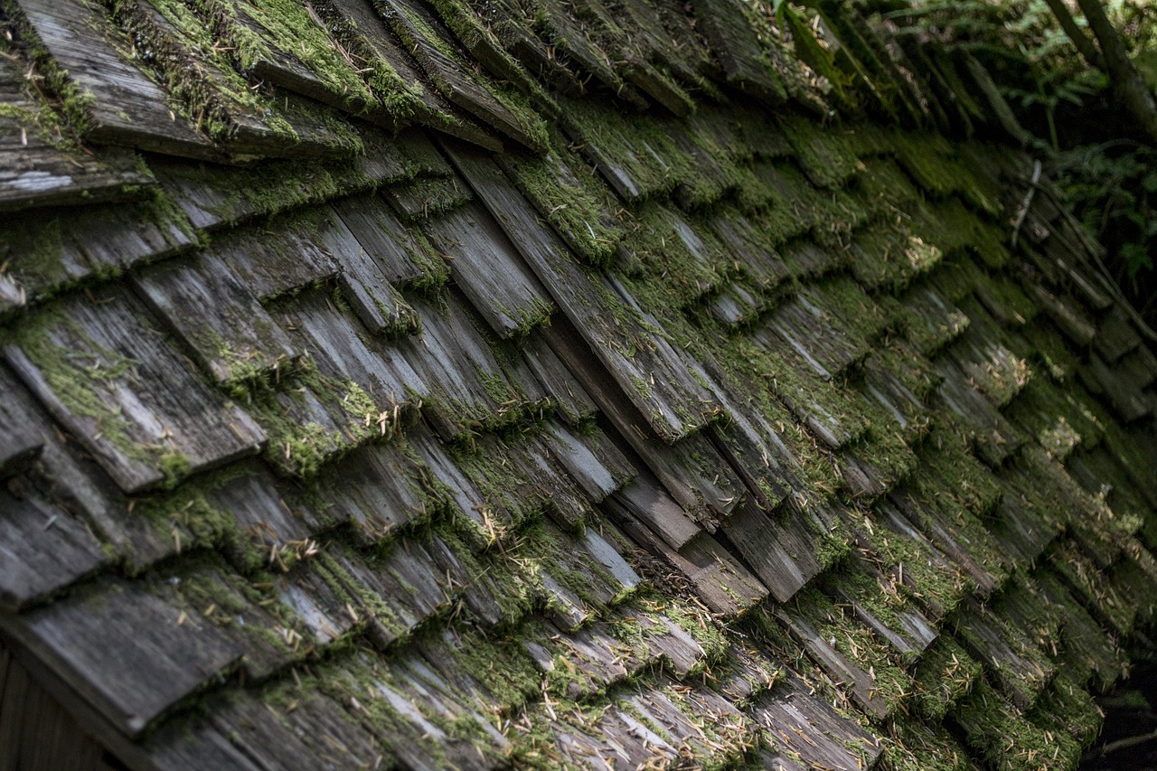 wood, shingle, layer-2497756.jpg